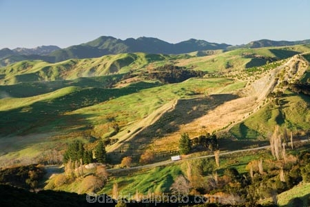 agricultural;agriculture;autuminal;autumn;autumnal;color;colors;colour;colours;country;countryside;deciduous;fall;farm;farming;farmland;farms;field;fields;Hikawera;Hinakura;leaf;leaves;Martinborough;meadow;meadows;N.I.;N.Z.;New-Zealand;NI;North-Island;NZ;paddock;paddocks;pasture;pastures;rural;season;seasonal;seasons;sheep-truck;sheep-trucks;sheep_truck;sheep_trucks;sheeptruck;sheeptrucks;tree;trees;Wairarapa