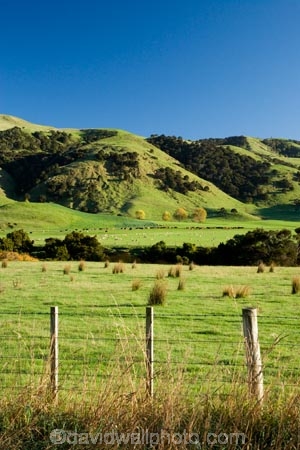 agricultural;agriculture;country;countryside;farm;farming;farmland;farms;fence;fence_line;fence_lines;fenceline;fencelines;fences;field;fields;meadow;meadows;N.I.;N.Z.;New-Zealand;NI;North-Island;NZ;paddock;paddocks;pasture;pastures;rural;Tablelands;Wairarapa