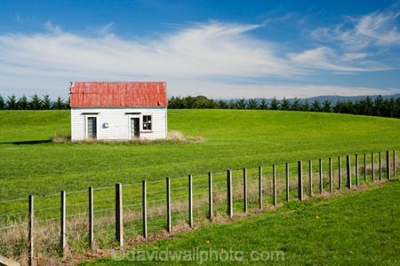 agricultural;agriculture;country;countryside;farm;farming;farmland;farms;fecnelines;fence;fenceline;fences;field;fields;Martinborough;meadow;meadows;N.I.;N.Z.;New-Zealand;NI;North-Island;NZ;Old-House;paddock;paddocks;pasture;pastures;rural;Wairarapa