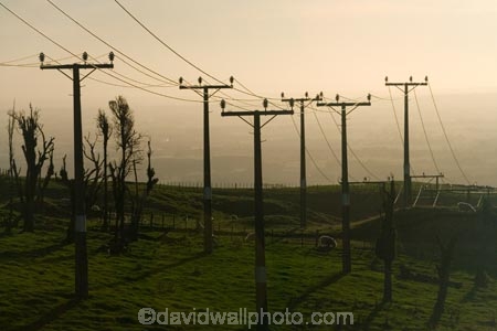 line;lines;Lower-North-Island;Manawatu;N.I.;N.Z.;New-Zealand;NI;North-Island;NZ;Palmerston-North;pole;poles;post;posts;power-line;power-lines;power-pole;Power-Poles;Tararua;Tararua-Ranges;telegraph-line;telegraph-lines;telegraph-pole;telegraph-poles;wire;wires