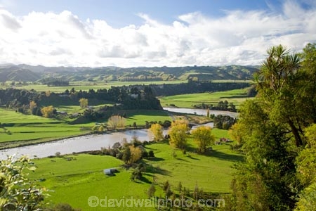 agricultural;agriculture;autuminal;autumn;autumn-colour;autumn-colours;autumnal;color;colors;colour;colours;country;countryside;deciduous;fall;farm;farming;farmland;farms;field;fields;leaf;leaves;meadow;meadows;N.I.;N.Z.;New-Zealand;NI;North-Island;NZ;Ohingaiti;paddock;paddocks;pasture;pastures;Rangitikei;Rangitikei-River;Rangitikei-River-Valley;river;rivers;rural;season;seasonal;seasons;tree;trees