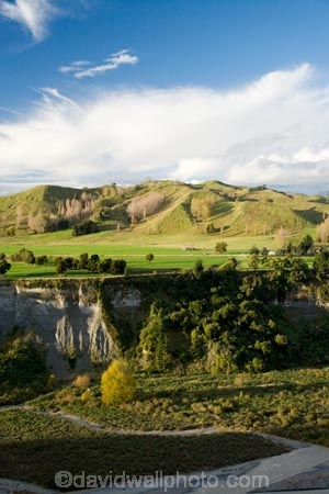 agricultural;agriculture;country;countryside;farm;farming;farmland;farms;field;fields;Kawhatau-River;Kawhatau-Valley;meadow;meadows;N.I.;N.Z.;New-Zealand;NI;North-Island;NZ;paddock;paddocks;pasture;pastures;Rangitikei;rural;valley;valleys