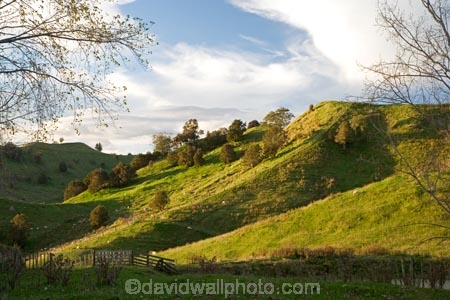 agricultural;agriculture;country;countryside;farm;farming;farmland;farms;field;fields;meadow;meadows;N.I.;N.Z.;New-Zealand;NI;North-Island;NZ;paddock;paddocks;pasture;pastures;Rangitikei;rural;Taihape