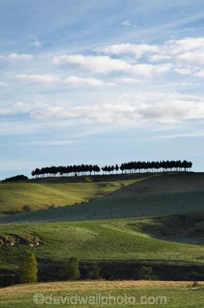 agricultural;agriculture;Central-North-Island;Central-Plateau;country;countryside;farm;farming;farmland;farms;field;fields;meadow;meadows;N.I.;N.Z.;New-Zealand;NI;North-Island;NZ;Ohakune;paddock;paddocks;pasture;pastures;Ruapehu-District;rural