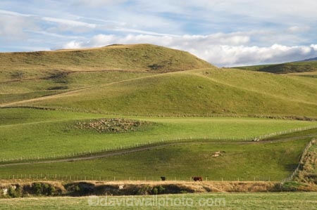 agricultural;agriculture;Central-North-Island;Central-Plateau;country;countryside;farm;farming;farmland;farms;field;fields;meadow;meadows;N.I.;N.Z.;New-Zealand;NI;North-Island;NZ;Ohakune;paddock;paddocks;pasture;pastures;Ruapehu-District;rural