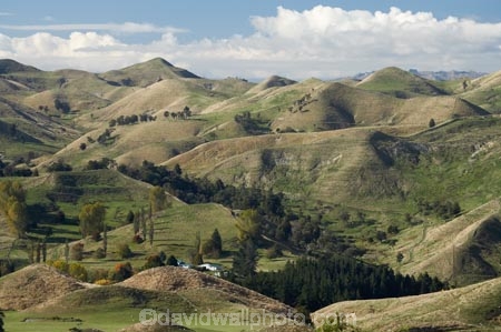 agricultural;agriculture;Bells-Junction;Central-North-Island;Central-Plateau;country;countryside;farm;farming;farmland;farms;field;fields;meadow;meadows;N.I.;N.Z.;near-Waiouru;New-Zealand;NI;North-Island;NZ;Owhakura-Road;paddock;paddocks;pasture;pastures;Rangitikei-District;Ruapehu-District;rural