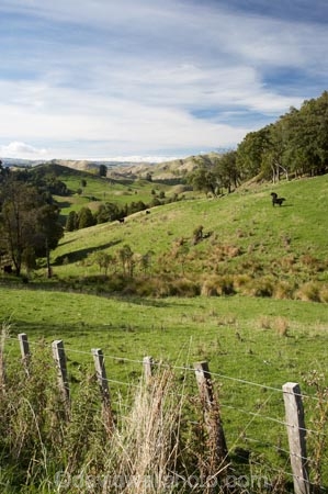 agricultural;agriculture;Bells-Junction;Central-North-Island;Central-Plateau;country;countryside;farm;farming;farmland;farms;field;fields;meadow;meadows;N.I.;N.Z.;near-Waiouru;New-Zealand;NI;North-Island;NZ;Owhakura-Road;paddock;paddocks;pasture;pastures;Rangitikei-District;Ruapehu-District;rural