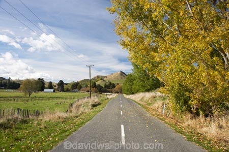 autuminal;autumn;autumn-colour;autumn-colours;autumnal;Central-North-Island;Central-Plateau;centre-line;centre-lines;centre_line;centre_lines;centreline;centrelines;color;colors;colour;colours;deciduous;driving;fall;leaf;leaves;N.I.;N.Z.;New-Zealand;NI;North-Island;NZ;open-road;open-roads;Rangitikei-District;Rangiwaea-Junction;road;road-trip;roads;Ruapehu-District;season;seasonal;seasons;transport;transportation;travel;traveling;travelling;tree;trees;trip;Waiouru