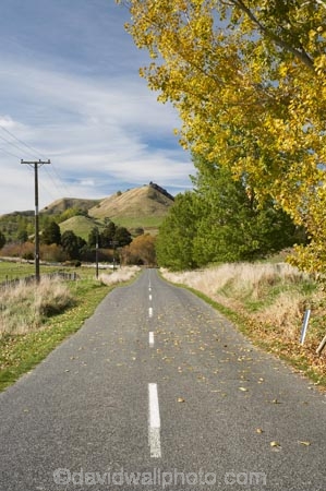 autuminal;autumn;autumn-colour;autumn-colours;autumnal;Central-North-Island;Central-Plateau;centre-line;centre-lines;centre_line;centre_lines;centreline;centrelines;color;colors;colour;colours;deciduous;driving;fall;leaf;leaves;N.I.;N.Z.;New-Zealand;NI;North-Island;NZ;open-road;open-roads;Rangitikei-District;Rangiwaea-Junction;road;road-trip;roads;Ruapehu-District;season;seasonal;seasons;transport;transportation;travel;traveling;travelling;tree;trees;trip;Waiouru