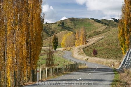 agricultural;agriculture;autuminal;autumn;autumn-colour;autumn-colours;autumnal;bend;bends;Central-North-Island;centre-line;centre-lines;centre_line;centre_lines;centreline;centrelines;color;colors;colour;colours;corner;corners;country;countryside;deciduous;driving;fall;farm;farming;farmland;farms;field;fields;leaf;leaves;meadow;meadows;N.I.;N.Z.;New-Zealand;NI;North-Island;NZ;open-road;open-roads;paddock;paddocks;pasture;pastures;poplar;poplar-tree;poplar-trees;poplars;Rangitikei-District;road;road-trip;roads;Ruanui;Ruanui-Road;rural;season;seasonal;seasons;transport;transportation;travel;traveling;travelling;tree;trees;trip