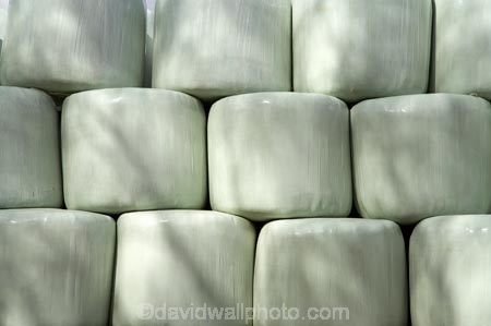 agricultural;agriculture;bale;bales;Central-North-Island;country;countryside;farm;farming;farms;hay;hay-bale;hay-bales;horticulture;N.I.;N.Z.;New-Zealand;NI;North-Island;NZ;pattens;pattern;plastic-covered;Rangitikei-District;round-bale;round-bales;Ruanui;rural;straw;straw-bale;straw-bales;texture;textures;winter-feed;wrap;wrapped