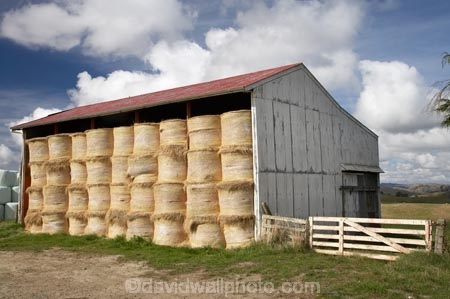 agricultural;agriculture;bale;bales;Central-North-Island;country;countryside;farm;farming;farms;hay;hay-bale;hay-bales;hay-shed;hay-sheds;hay-stack;hay-stacks;hay_shed;hay_sheds;haystack;haystacks;horticulture;N.I.;N.Z.;New-Zealand;NI;North-Island;NZ;Rangitikei-District;round-bale;round-bales;Ruanui;rural;straw;straw-bale;straw-bales;winter-feed