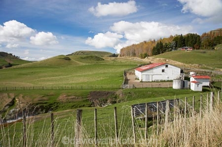 agricultural;agriculture;autuminal;autumn;autumn-colour;autumn-colours;autumnal;Central-North-Island;country;countryside;fall;farm;Farm-Building;Farm-Buildings;Farm-Shed;Farm-Sheds;farming;farmland;farms;field;fields;Mataroa;meadow;meadows;N.I.;N.Z.;near-Taihape;New-Zealand;NI;North-Island;NZ;paddock;paddocks;pasture;pastures;Rangitikei-District;rural;season;seasonal;seasons;Shearing-Shed;Shearing-Sheds;Sheep-Shed;Sheep-Sheds;Wool-Shed;Wool-Sheds