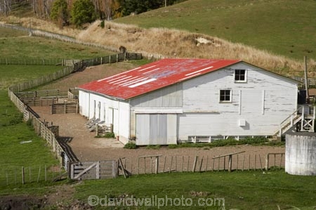 agricultural;agriculture;Central-North-Island;country;countryside;farm;Farm-Building;Farm-Buildings;Farm-Shed;Farm-Sheds;farming;farmland;farms;field;fields;Mataroa;meadow;meadows;N.I.;N.Z.;near-Taihape;New-Zealand;NI;North-Island;NZ;paddock;paddocks;pasture;pastures;Rangitikei-District;rural;Shearing-Shed;Shearing-Sheds;Sheep-Shed;Sheep-Sheds;Wool-Shed;Wool-Sheds