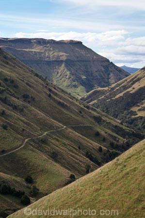 agricultural;agriculture;Central-North-Island;country;countryside;farm;farming;farmland;farms;field;fields;meadow;meadows;Moawhango-River-Valley;N.I.;N.Z.;Napier-_-Taihape-Road;New-Zealand;NI;North-Island;NZ;paddock;paddocks;pasture;pastures;Rangitikei-District;rural