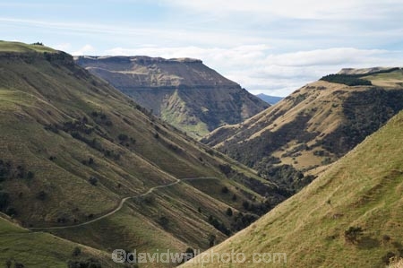 agricultural;agriculture;Central-North-Island;country;countryside;farm;farming;farmland;farms;field;fields;meadow;meadows;Moawhango-River-Valley;N.I.;N.Z.;Napier-_-Taihape-Road;New-Zealand;NI;North-Island;NZ;paddock;paddocks;pasture;pastures;Rangitikei-District;rural