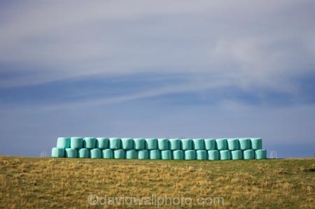 agricultural;agriculture;bale;bales;Central-North-Island;country;countryside;farm;farming;farmland;farms;field;fields;hay;hay-bale;hay-bales;horticulture;meadow;meadows;N.I.;N.Z.;Napier-_-Taihape-Road;New-Zealand;NI;North-Island;NZ;paddock;paddocks;pasture;pastures;plastic-covered;Rangitikei-District;round-bale;round-bales;rural;straw;straw-bale;straw-bales;winter-feed;wrap;wrapped