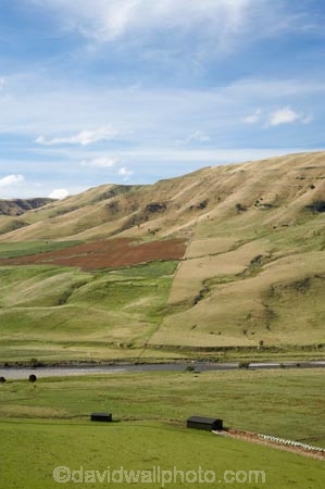 agricultural;agriculture;Central-North-Island;country;countryside;farm;farming;farmland;farms;field;fields;meadow;meadows;N.I.;N.Z.;Napier-_-Taihape-Road;New-Zealand;NI;North-Island;NZ;paddock;paddocks;pasture;pastures;Rangitikei-District;Rangitikei-River;rural;valley;valleys