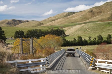 agricultural;agriculture;autuminal;autumn;autumn-colour;autumn-colours;autumnal;bridge;bridges;Central-North-Island;color;colors;colour;colours;country;countryside;deciduous;driving;fall;farm;farming;farmland;farms;field;fields;leaf;leaves;meadow;meadows;N.I.;N.Z.;Napier-_-Taihape-Road;New-Zealand;NI;North-Island;NZ;open-road;open-roads;paddock;paddocks;pasture;pastures;Rangitikei-District;Rangitikei-River;road;road-bridge;road-bridges;road-trip;roads;rural;season;seasonal;seasons;Springvale-Bridge;traffic-bridge;traffic-bridges;transport;transportation;travel;traveling;travelling;tree;trees;trip