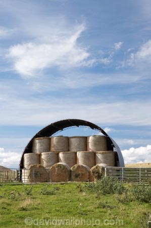 agricultural;agriculture;bale;bales;Central-North-Island;country;countryside;farm;farming;farmland;farms;field;fields;hay;hay-bale;hay-bales;hay-shed;hay-sheds;hay-stack;hay-stacks;hay_shed;hay_sheds;haystack;haystacks;horticulture;meadow;meadows;N.I.;N.Z.;near-Taihape;New-Zealand;NI;North-Island;NZ;paddock;paddocks;pasture;pastures;Rangitikei-District;round-bale;round-bales;rural;straw;straw-bale;straw-bales;winter-feed