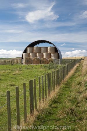 agricultural;agriculture;bale;bales;Central-North-Island;country;countryside;farm;farming;farmland;farms;fence;fence-line;fence-lines;fence_line;fence_lines;fenceline;fencelines;fences;field;fields;hay;hay-bale;hay-bales;hay-shed;hay-sheds;hay-stack;hay-stacks;hay_shed;hay_sheds;haystack;haystacks;horticulture;meadow;meadows;N.I.;N.Z.;near-Taihape;New-Zealand;NI;North-Island;NZ;paddock;paddocks;pasture;pastures;Rangitikei-District;round-bale;round-bales;rural;straw;straw-bale;straw-bales;winter-feed
