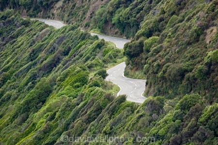 bend;bends;bush;corner;corners;curve;curves;driving;highway;highways;Kapiti-Coast;N.Z.;native-bush;New-Zealand;North-Is;North-Is.;North-Island;NZ;open-road;open-roads;Paekakariki;Paekakariki-Hill;Road;road-trip;roads;transport;transportation;travel;traveling;travelling;trip;Wind_blown-Bush