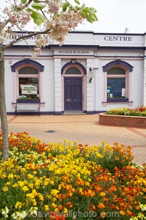 Aylmer-Building;blossum;building;buildings;Fielding;floral;flower;flower-bed;flower-beds;flower-garden;flower-gardens;flowers;heritage;historic;historic-building;historic-buildings;historical;historical-building;historical-buildings;history;info-centre;Information-Centre;information-centres;Manawatu;Manchester-Square;N.I.;N.Z.;New-Zealand;NI;North-Is;North-Island;NZ;old;spring;spring-flowers;spring-time;tourist-information;tradition;traditional