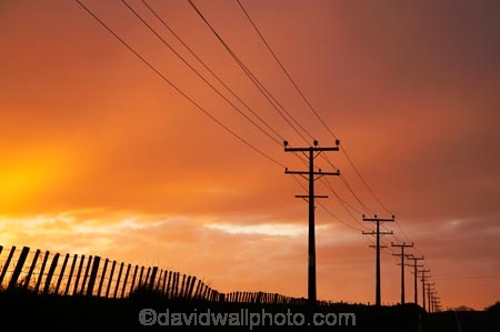 country;countryside;dusk;evening;farm;farming;farmland;farms;fence;fence-line;fence-lines;fence_line;fence_lines;fenceline;fencelines;fences;field;Fielding;fields;line;lines;Manawatu;N.I.;N.Z.;New-Zealand;NI;nightfall;North-Is;North-Island;NZ;orange;pole;poles;post;posts;power-line;power-lines;power-pole;power-poles;rural;sky;sunset;sunsets;telegraph-line;telegraph-lines;telegraph-pole;telegraph-poles;twilight;wire;wires