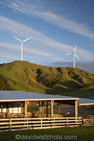 agricultural;agriculture;alternative-energies;alternative-energy;country;countryside;crop;crops;electrical;electricity;electricity-generation;electricity-generators;energy;environment;environmental;farm;Farm-Building;Farm-Buildings;Farm-Shed;Farm-Sheds;farming;farmland;farms;field;fields;generation;generator;generators;horticulture;industrial;industry;Manawatu;meadow;meadows;Meridian-Energy;N.I.;N.Z.;New-Zealand;NI;North-Is;North-Island;NZ;paddock;paddocks;pasture;pastures;power-generation;power-generators;propeller;propellers;renewable-energies;renewable-energy;Ruahine-Range;Ruahine-Ranges;rural;Shearing-Shed;Shearing-Sheds;Sheep-Shed;Sheep-Sheds;spin;spining;sustainable-energies;sustainable-energy;Te-Apiti-Wind-Farm;turn;turning;wind;wind-farm;wind-farms;wind-generator;wind-generators;wind-power;wind-power-plant;wind-power-plants;wind-turbine;wind-turbines;wind_farm;wind_farms;windfarm;windfarms;windmill;windmills;windturbine;windturbines;windy;Wool-Shed;Wool-Sheds;woolshed;woolsheds