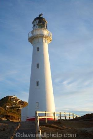 beacon;beacons;castle;Castle-Point;Castle-Point-Lighthouse;castlepoint;Castlepoint-Lighthouse;Castlepoint-scenic-reserve;coast;coastal;coastline;coastlines;coasts;island;light;light-house;light-houses;lighthouse;light_house;lighthouses;light_houses;lights;Lower-North-Island;N.I.;N.Z.;navigate;Navigation;new;new-zealand;NI;north;North-Is;north-is.;north-island;NZ;o8l6650;ocean;oceans;point;tower;towers;wairarapa;zealand