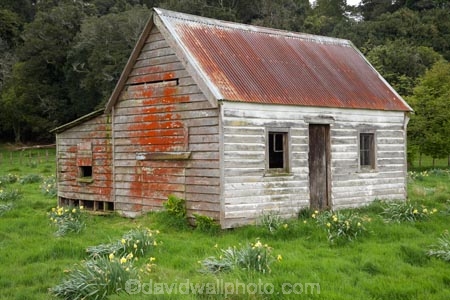 abandon;abandoned;agricultural;agriculture;bruce;building;buildings;castaway;character;corrugated-iron;corrugated-steel;cottage;cottages;country;countryside;derelict;Derelict-Cottage;dereliction;deserted;desolate;desolation;destruction;farm;farming;farmland;farms;field;fields;heritage;historic;historic-building;historic-buildings;historical;historical-building;historical-buildings;history;house;houses;island;Lower-North-Island;meadow;meadows;mount;Mount-Bruce;mt-Bruce;N.I.;N.Z.;near;neglect;neglected;new;new-zealand;NI;north;North-Is;north-is.;north-island;NZ;o8l6778;old;old-fashioned;Old_fashioned;paddock;paddocks;pasture;pastures;ruin;ruins;run-down;rural;rustic;state-highway-2;state-highway-two;tradition;traditional;vintage;wairarapa;weatherboard;weatherboards;zealand