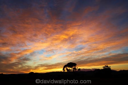 and;break-of-day;carterton;dawn;dawning;daybreak;farmland;first-light;island;Lower-North-Island;morning;N.I.;N.Z.;near;new;new-zealand;NI;north;North-Is;north-is.;north-island;NZ;o8l1030;orange;over;sunrise;sunrises;sunup;tree;trees;twilight;wairarapa;zealand