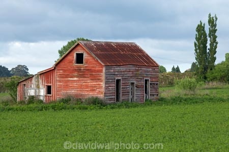 abandon;abandoned;agricultural;agriculture;building;buildings;castaway;character;cottage;cottages;country;countryside;derelict;dereliction;deserted;desolate;desolation;destruction;farm;farming;farmland;farms;field;fields;greytown;heritage;historic;historic-building;historic-buildings;historical;historical-building;historical-buildings;history;house;houses;island;Lower-North-Island;meadow;meadows;N.I.;N.Z.;neglect;neglected;new;new-zealand;NI;north;North-Is;north-is.;north-island;NZ;o8l1122;old;old-fashioned;Old_fashioned;paddock;paddocks;pasture;pastures;ruin;ruins;run-down;rural;rustic;state-highway-2;state-highway-two;tradition;traditional;vintage;wairarapa;zealand