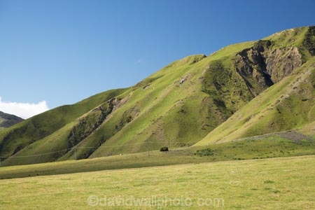 agricultural;agriculture;country;countryside;farm;farming;farmland;farms;field;fields;island;Lower-North-Island;meadow;meadows;N.I.;N.Z.;near;new;new-zealand;ngawi;NI;north;North-Is;north-is.;north-island;NZ;o8l6513;paddock;paddocks;pasture;pastures;rural;wairarapa;zealand
