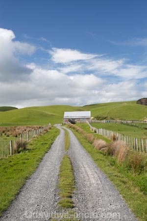 agricultural;agriculture;and;building;country;countryside;farm;Farm-Building;Farm-Buildings;Farm-Shed;Farm-Sheds;farm-track;farm-tracks;farming;farmland;farms;ferry;field;fields;island;lake;Lower-North-Island;meadow;meadows;N.I.;N.Z.;near;new;new-zealand;NI;north;North-Is;north-is.;north-island;NZ;o8l6529;paddock;paddocks;pasture;pastures;rural;Shearing-Shed;Shearing-Sheds;Sheep-Shed;Sheep-Sheds;track;tracks;wairarapa;zealand