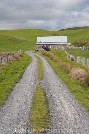 agricultural;agriculture;and;building;country;countryside;farm;Farm-Building;Farm-Buildings;Farm-Shed;Farm-Sheds;farm-track;farm-tracks;farming;farmland;farms;ferry;field;fields;island;lake;Lower-North-Island;meadow;meadows;N.I.;N.Z.;near;new;new-zealand;NI;north;North-Is;north-is.;north-island;NZ;o8l6530;paddock;paddocks;pasture;pastures;rural;Shearing-Shed;Shearing-Sheds;Sheep-Shed;Sheep-Sheds;track;tracks;wairarapa;zealand