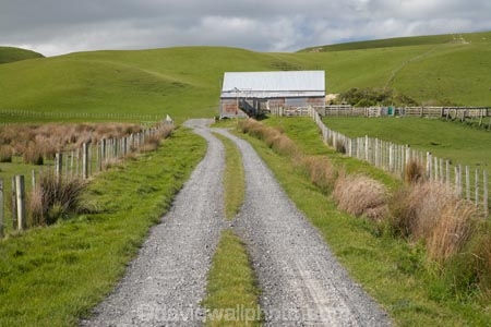 agricultural;agriculture;and;building;country;countryside;farm;Farm-Building;Farm-Buildings;Farm-Shed;Farm-Sheds;farm-track;farm-tracks;farming;farmland;farms;ferry;field;fields;island;lake;Lower-North-Island;meadow;meadows;N.I.;N.Z.;near;new;new-zealand;NI;north;North-Is;north-is.;north-island;NZ;o8l6531;paddock;paddocks;pasture;pastures;rural;Shearing-Shed;Shearing-Sheds;Sheep-Shed;Sheep-Sheds;track;tracks;wairarapa;zealand