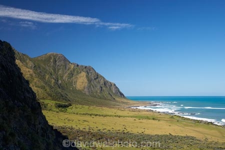 agricultural;agriculture;cape;Cape-Palliser;country;countryside;farm;farming;farmland;farms;field;fields;island;Lower-North-Island;meadow;meadows;N.I.;N.Z.;new;new-zealand;NI;north;North-Is;north-is.;north-island;NZ;o8l6482;Pacifiic-Ocean;paddock;paddocks;palliser;Palliser-Bay;pasture;pastures;rural;wairarapa;zealand