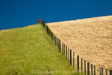 agricultural;agriculture;blue-skies;blue-sky;country;countryside;dry-grass;farm;farming;farmland;farms;fence;fenceline;fencelines;fences;field;fields;grass;green-grass;hill;hills;Lower-North-Island;Martinborough;meadow;meadows;N.I.;N.Z.;New-Zealand;NI;North-Is;North-Island;NZ;paddock;paddocks;pasture;pastures;rural;sky;Wairarapa;wet-and-dry