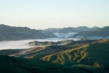 agricultural;agriculture;cloud;cloudy;country;countryside;early-morning;farm;farming;farmland;farms;field;fields;fog;foggy;Hikawera;Hinakura;Martinborough;meadow;meadows;mist;misty;N.I.;N.Z.;New-Zealand;NI;North-Island;NZ;paddock;paddocks;pasture;pastures;rural;Wairarapa