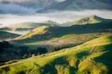 agricultural;agriculture;cloud;cloudy;country;countryside;early-morning;farm;farming;farmland;farms;field;fields;fog;foggy;Hikawera;Hinakura;Martinborough;meadow;meadows;mist;misty;N.I.;N.Z.;New-Zealand;NI;North-Island;NZ;paddock;paddocks;pasture;pastures;rural;Wairarapa