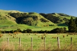 agricultural;agriculture;country;countryside;farm;farming;farmland;farms;fence;fence_line;fence_lines;fenceline;fencelines;fences;field;fields;meadow;meadows;N.I.;N.Z.;New-Zealand;NI;North-Island;NZ;paddock;paddocks;pasture;pastures;rural;Tablelands;Wairarapa