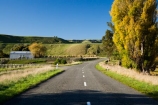 agricultural;agriculture;autuminal;autumn;autumn-colour;autumn-colours;autumnal;centre-line;centre-lines;centre_line;centre_lines;centreline;centrelines;color;colors;colour;colours;country;countryside;deciduous;driving;fall;farm;farming;farmland;farms;field;fields;highway;highways;leaf;leaves;Martinborough;meadow;meadows;N.I.;N.Z.;New-Zealand;NI;North-Island;NZ;open-road;open-roads;paddock;paddocks;pasture;pastures;poplar;poplars;road;road-trip;roads;rural;season;seasonal;seasons;shearing-shed;shearing-sheds;sheep-shed;sheep-sheds;straight;transport;transportation;travel;traveling;travelling;tree;trees;trip;Wairarapa;wool-shed;wool-sheds