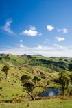 agricultural;agriculture;cabbage-tree;cabbage-trees;country;countryside;farm;farming;farmland;farms;field;fields;irrigation-dam;irrigation-dams;meadow;meadows;N.I.;N.Z.;New-Zealand;NI;North-Island;NZ;paddock;paddocks;pasture;pastures;pond;ponds;pool;pools;reservoir;reservoirs;rural;sheep;stock;Wairarapa