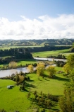 agricultural;agriculture;autuminal;autumn;autumn-colour;autumn-colours;autumnal;color;colors;colour;colours;country;countryside;deciduous;fall;farm;farming;farmland;farms;field;fields;leaf;leaves;meadow;meadows;N.I.;N.Z.;New-Zealand;NI;North-Island;NZ;Ohingaiti;paddock;paddocks;pasture;pastures;Rangitikei;Rangitikei-River;Rangitikei-River-Valley;river;rivers;rural;season;seasonal;seasons;tree;trees