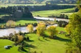 agricultural;agriculture;autuminal;autumn;autumn-colour;autumn-colours;autumnal;color;colors;colour;colours;country;countryside;deciduous;fall;farm;farming;farmland;farms;field;fields;leaf;leaves;meadow;meadows;N.I.;N.Z.;New-Zealand;NI;North-Island;NZ;Ohingaiti;paddock;paddocks;pasture;pastures;Rangitikei;Rangitikei-River;Rangitikei-River-Valley;river;rivers;rural;season;seasonal;seasons;tree;trees