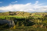 agricultural;agriculture;autuminal;autumn;autumn-colour;autumn-colours;autumnal;color;colors;colour;colours;country;countryside;deciduous;fall;farm;farming;farmland;farms;field;fields;Kawhatau-River;Kawhatau-Valley;leaf;leaves;meadow;meadows;N.I.;N.Z.;New-Zealand;NI;North-Island;NZ;paddock;paddocks;pasture;pastures;Rangitikei;rural;season;seasonal;seasons;tree;trees;valley;valleys