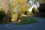 autuminal;autumn;autumn-colour;autumn-colours;autumnal;bend;bends;centre-line;centre-lines;centre_line;centre_lines;centreline;centrelines;color;colors;colour;colours;corner;corners;deciduous;driving;fall;hairpin;hairpins;highway;highways;leaf;leaves;N.I.;N.Z.;New-Zealand;NI;North-Island;NZ;open-road;open-roads;Rangitikei;road;road-trip;roads;season;seasonal;seasons;straight;transport;transportation;travel;traveling;travelling;tree;trees;trip