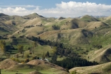 agricultural;agriculture;Bells-Junction;Central-North-Island;Central-Plateau;country;countryside;farm;farming;farmland;farms;field;fields;meadow;meadows;N.I.;N.Z.;near-Waiouru;New-Zealand;NI;North-Island;NZ;Owhakura-Road;paddock;paddocks;pasture;pastures;Rangitikei-District;Ruapehu-District;rural