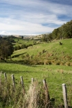 agricultural;agriculture;Bells-Junction;Central-North-Island;Central-Plateau;country;countryside;farm;farming;farmland;farms;field;fields;meadow;meadows;N.I.;N.Z.;near-Waiouru;New-Zealand;NI;North-Island;NZ;Owhakura-Road;paddock;paddocks;pasture;pastures;Rangitikei-District;Ruapehu-District;rural